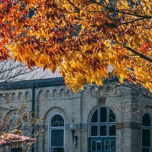 Meet your Posher, Hafez